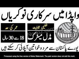 Water and Power Development Authority (WAPDA)